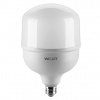 Лампа LED WOLTA 25WHP60E40